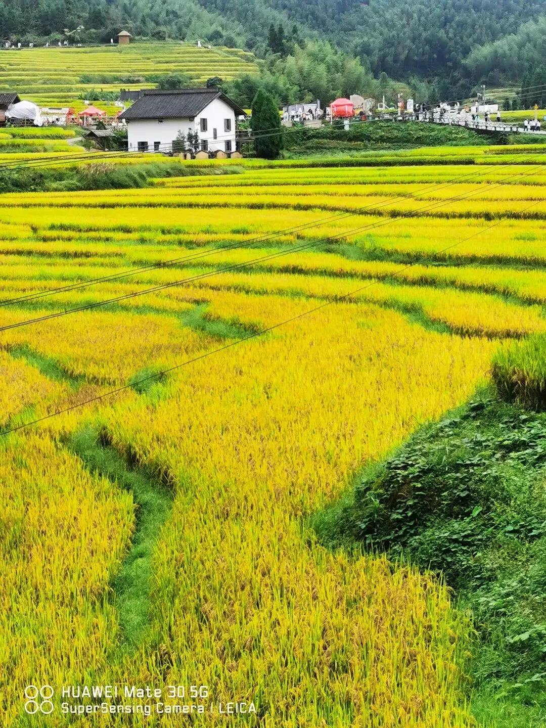 稻香里的亲情之旅——崇义上堡梯田自驾游记