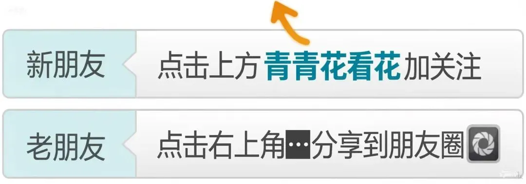 四个老伙计,一车向南跑|退休自驾第1天,台州1号公路太美了!