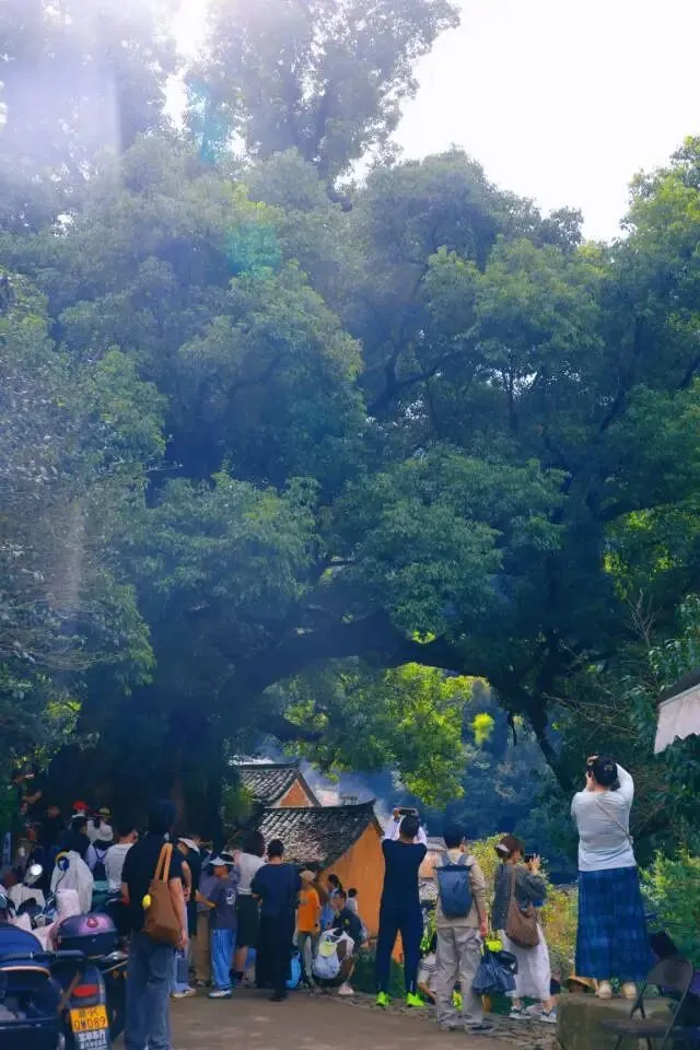 国庆自驾浙南小山村