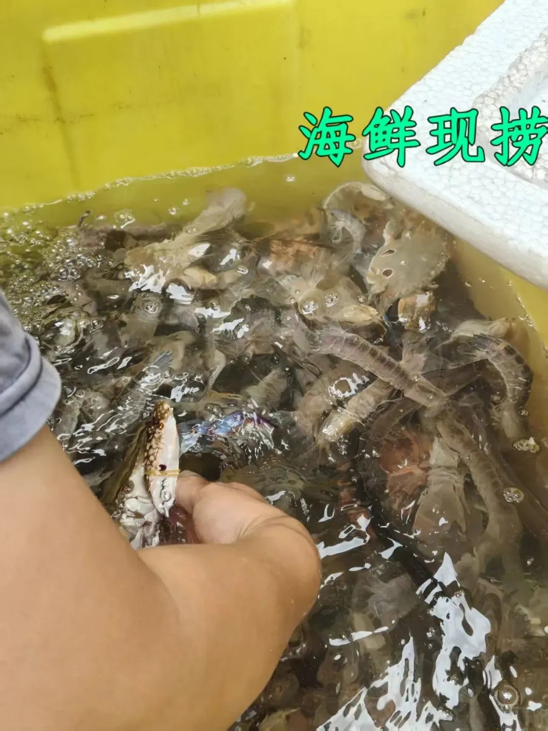 中秋国庆潮汕自驾游有感