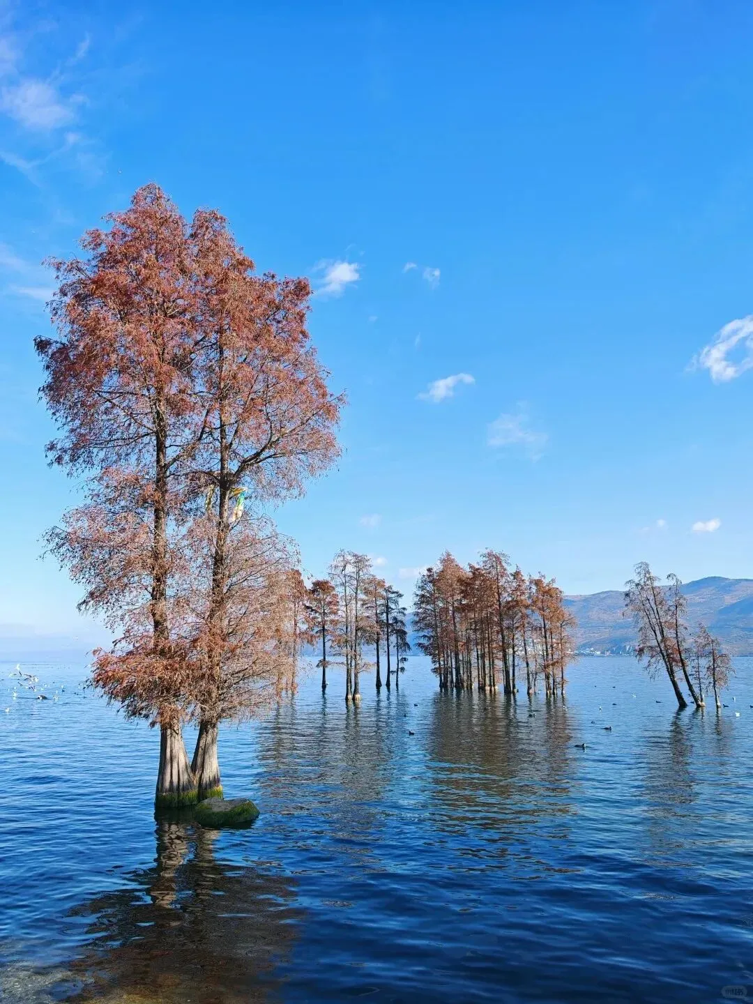 去大理旅游几月份最好?按需求选体验才佳