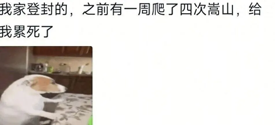 当你的家乡成为旅游城市是种什么体验呢?网友:一个礼拜爬四次山