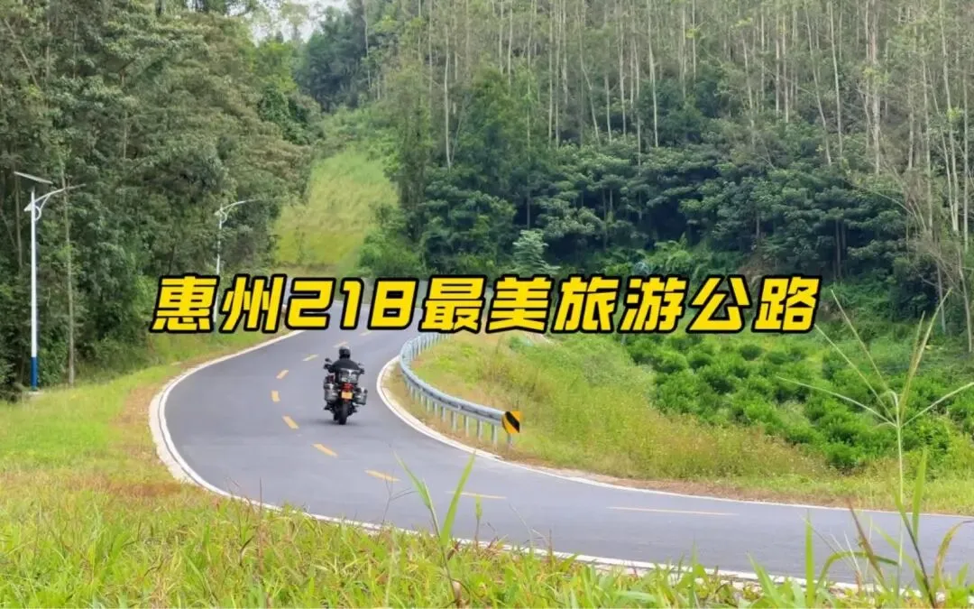 三角瞭望:广东惠州打造218公里旅游公路,助推城乡区域协调发展 一条公路串起产业兴、乡村美、农民富