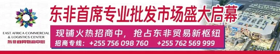 【坦桑旅游】2025年坦桑尼亚旅游业趋势:国际游客与收入双增,国家公园客流下滑
