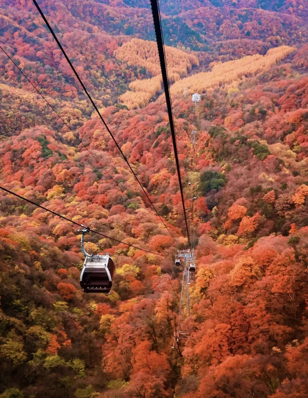 巴中光雾山保姆级旅行攻略:赴一场秋日红叶盛宴