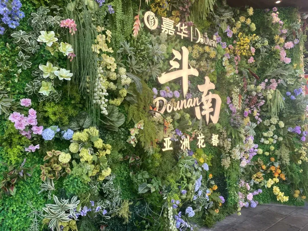昆明斗南花市保姆级旅游攻略