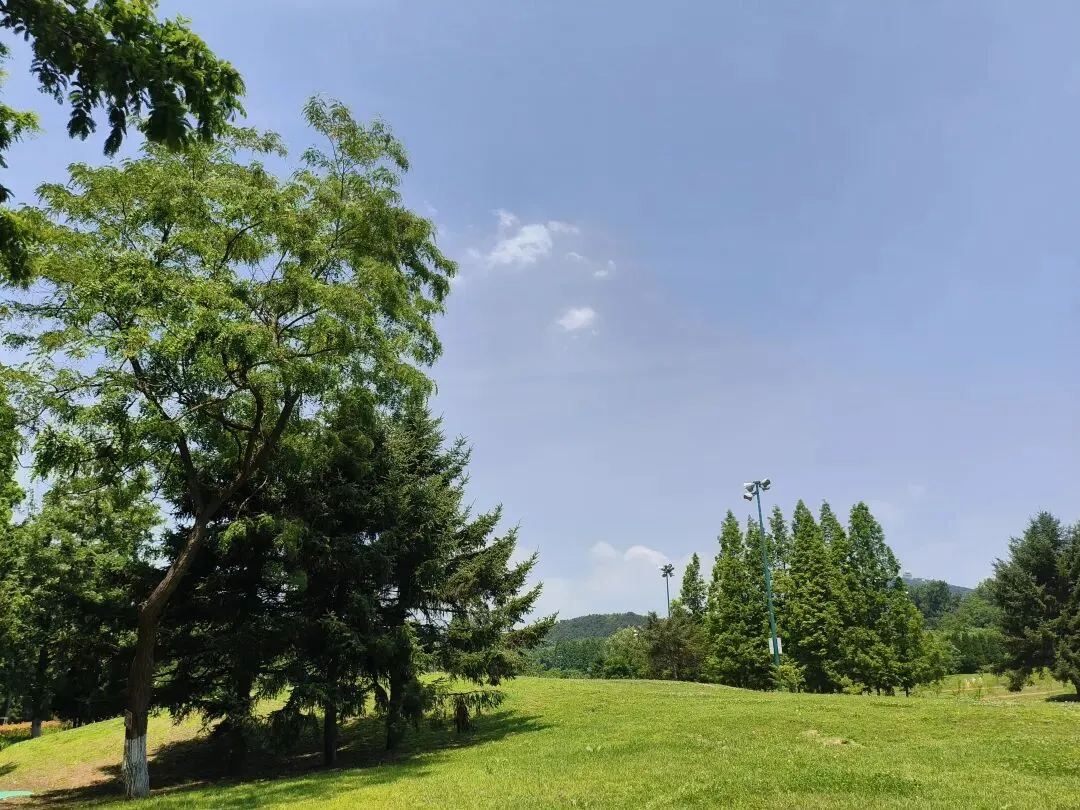 大连旅游/达沃斯后的大连还不亲自探查一番?山海相连的稀缺地貌不必东奔西找