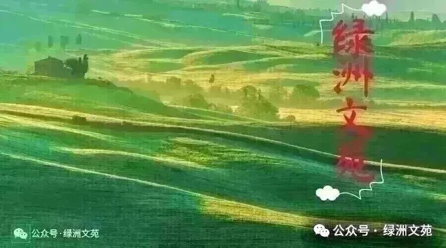 国庆青海湖自驾游记