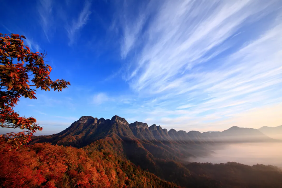 自驾游|现在去光雾山,能看到什么颜色?