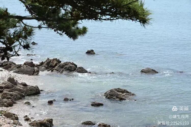 山东半岛沿海半月自驾游记(八)