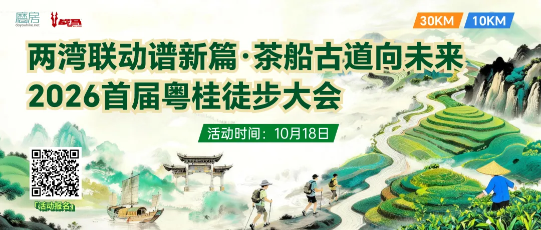 古道·茶山·美食 | 六堡茶乡游玩指南