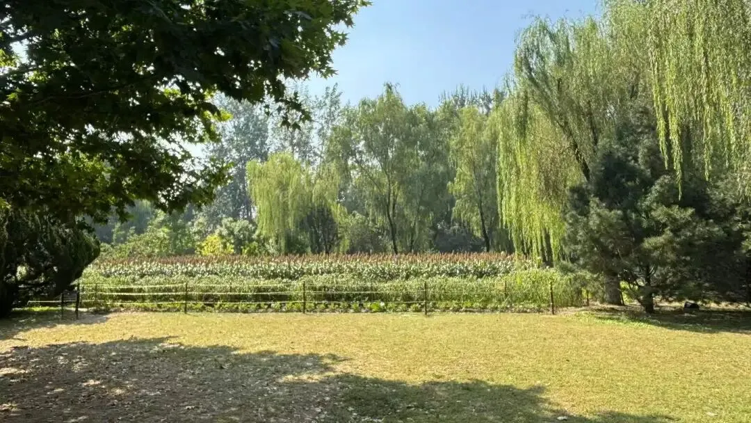 解读:三部局联合为旅游用地“抠图”式松绑
