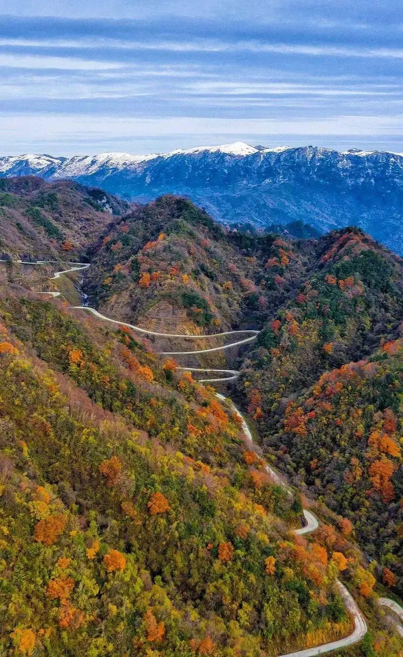 西安秋日秘境自驾游|避开拥挤人流,穿梭在林海、古关、石窟与千年古道之间,一步一秋,步步皆景!