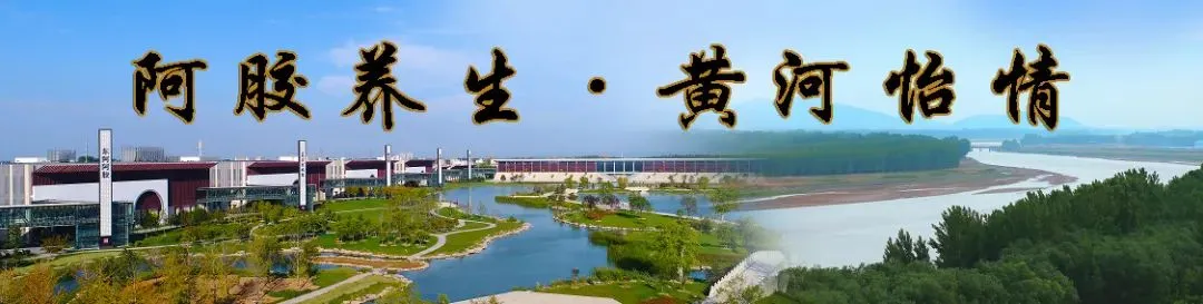 作风能力提升·东阿文旅在行动|县文化旅游系统安排部署“作风能力提升年”活动