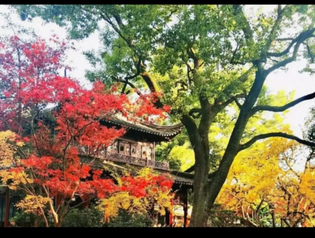 上海旅行指南3天经典版(住宿、美食、避坑,新手直接抄作业)