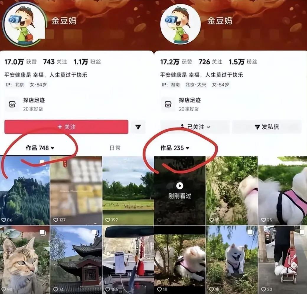 500多条旅游视频突然隐藏!张家齐妈妈旅居生活,惹来全网热议