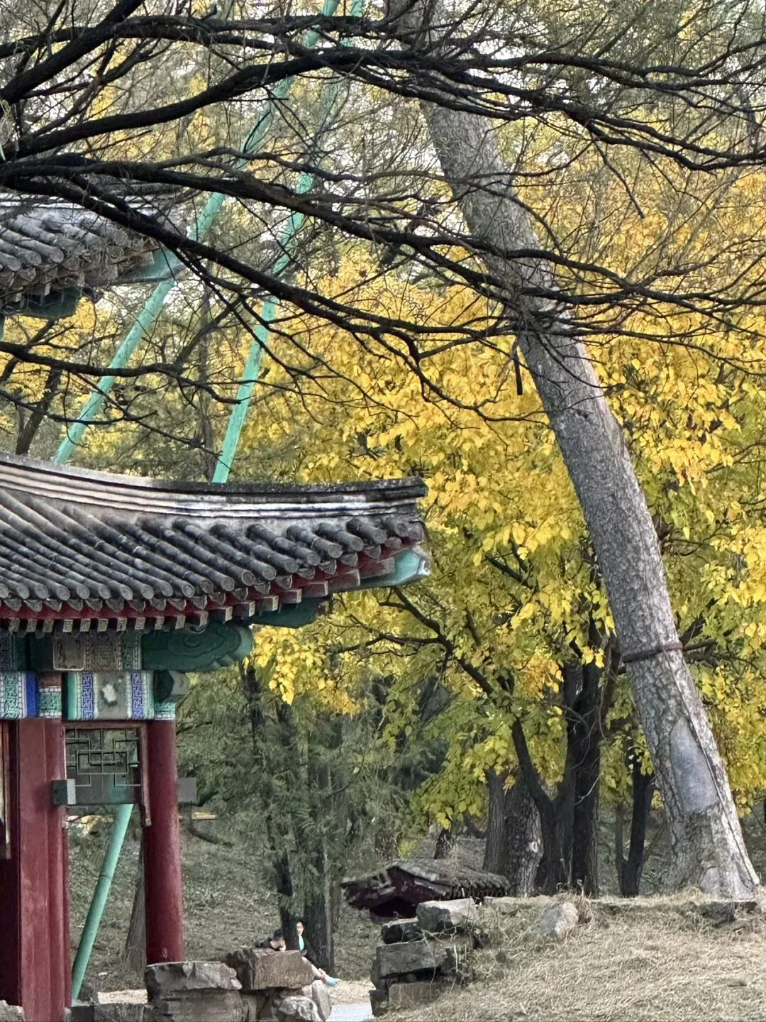 《承德淡季旅游攻略|错峰逛避暑山庄、外八庙,人少不拥挤》