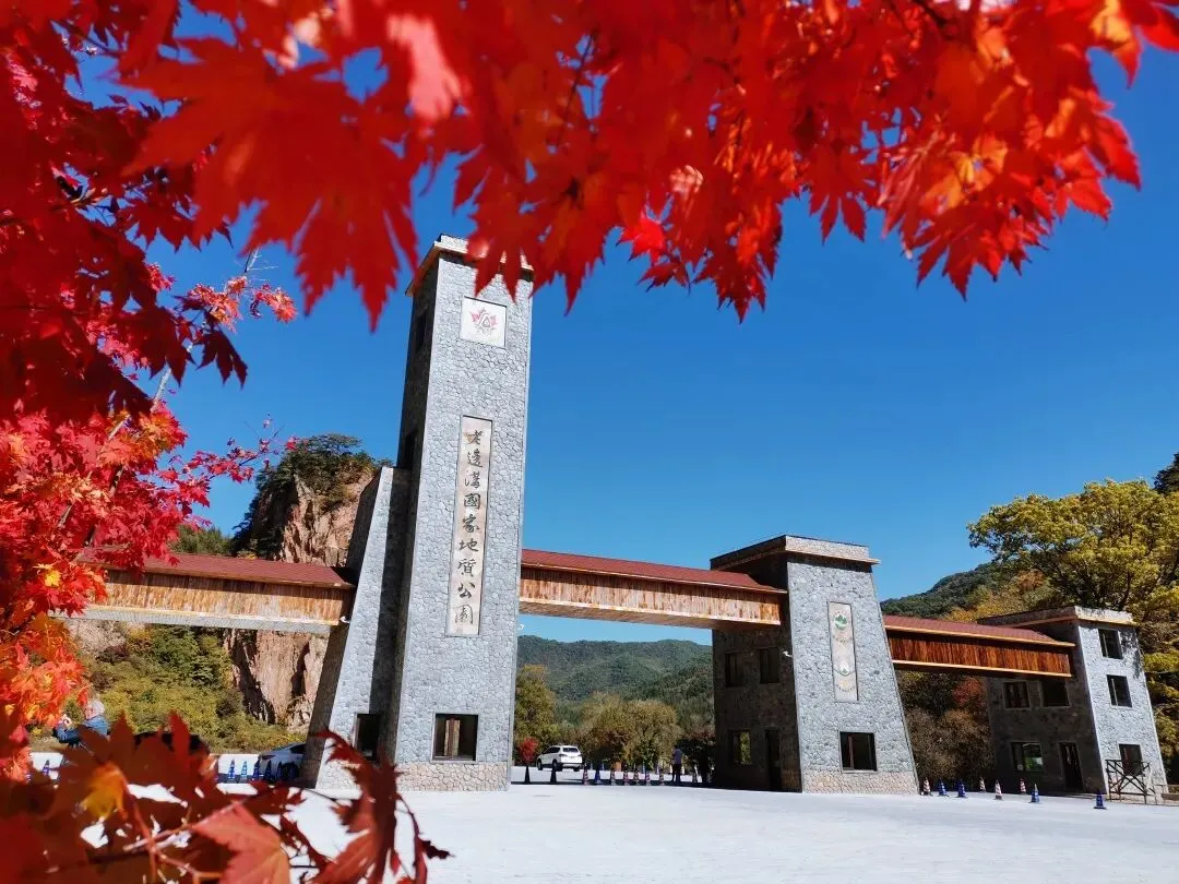 莹彩旅游10月15号 本溪老边沟赏枫叶 含午餐145元