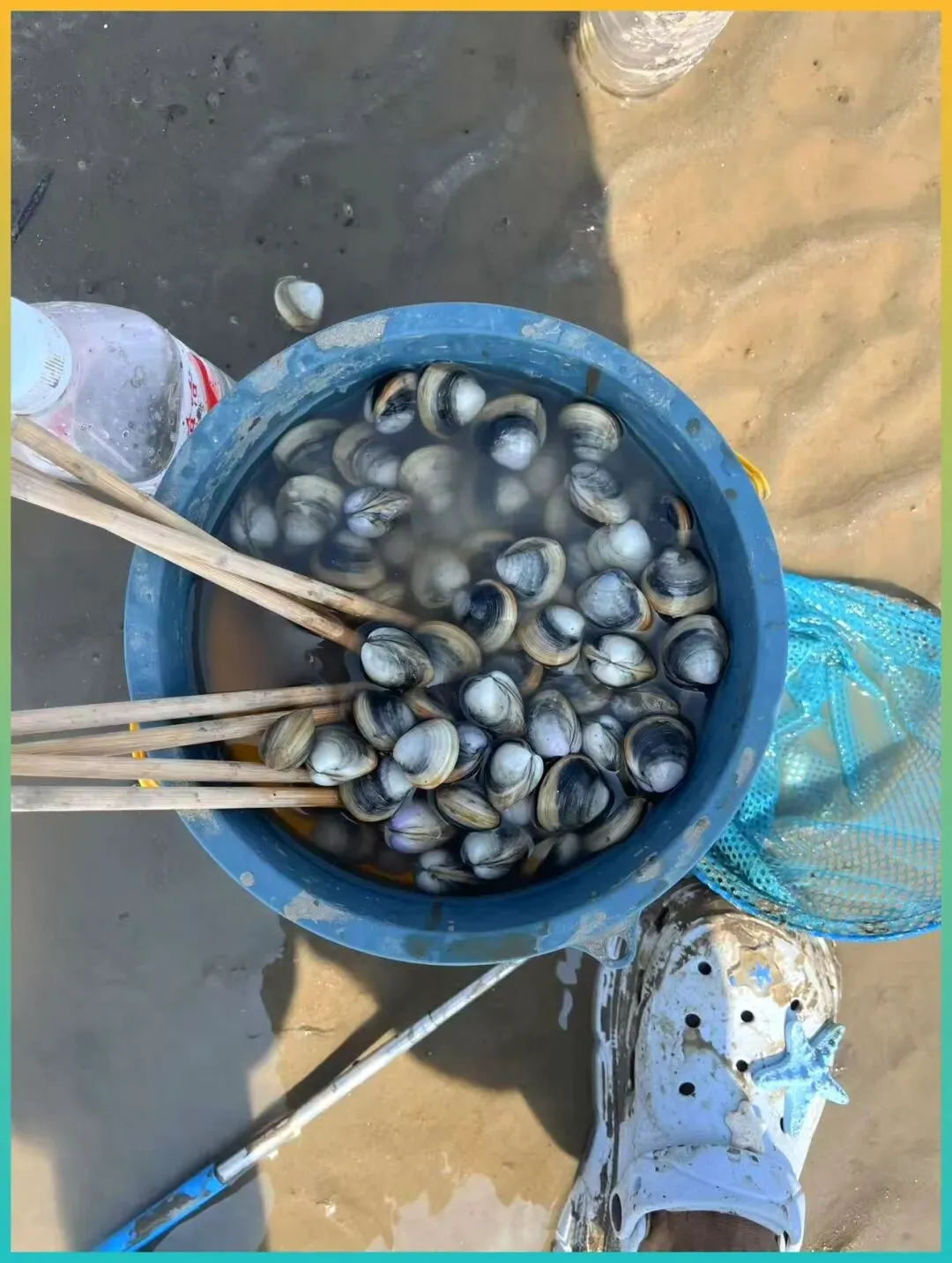 反向旅游太爽了,看海没人挤!一座被严重低估的南方小城,11月去刚刚好!