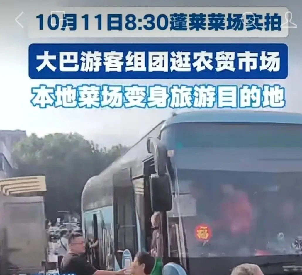简直笑不活了,一个民生菜场竟成“顶流”旅游景点?