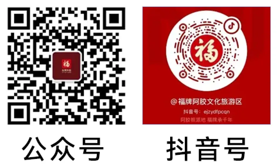 复盘促提升 实干谋新篇|福牌阿胶文化旅游区狠抓会议精神落地落实