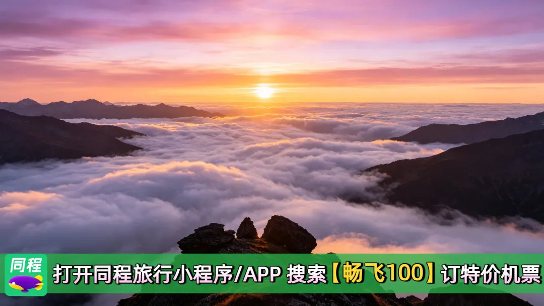 加拿大回国商务舱特价机票全攻略|2026加拿大旅游必看