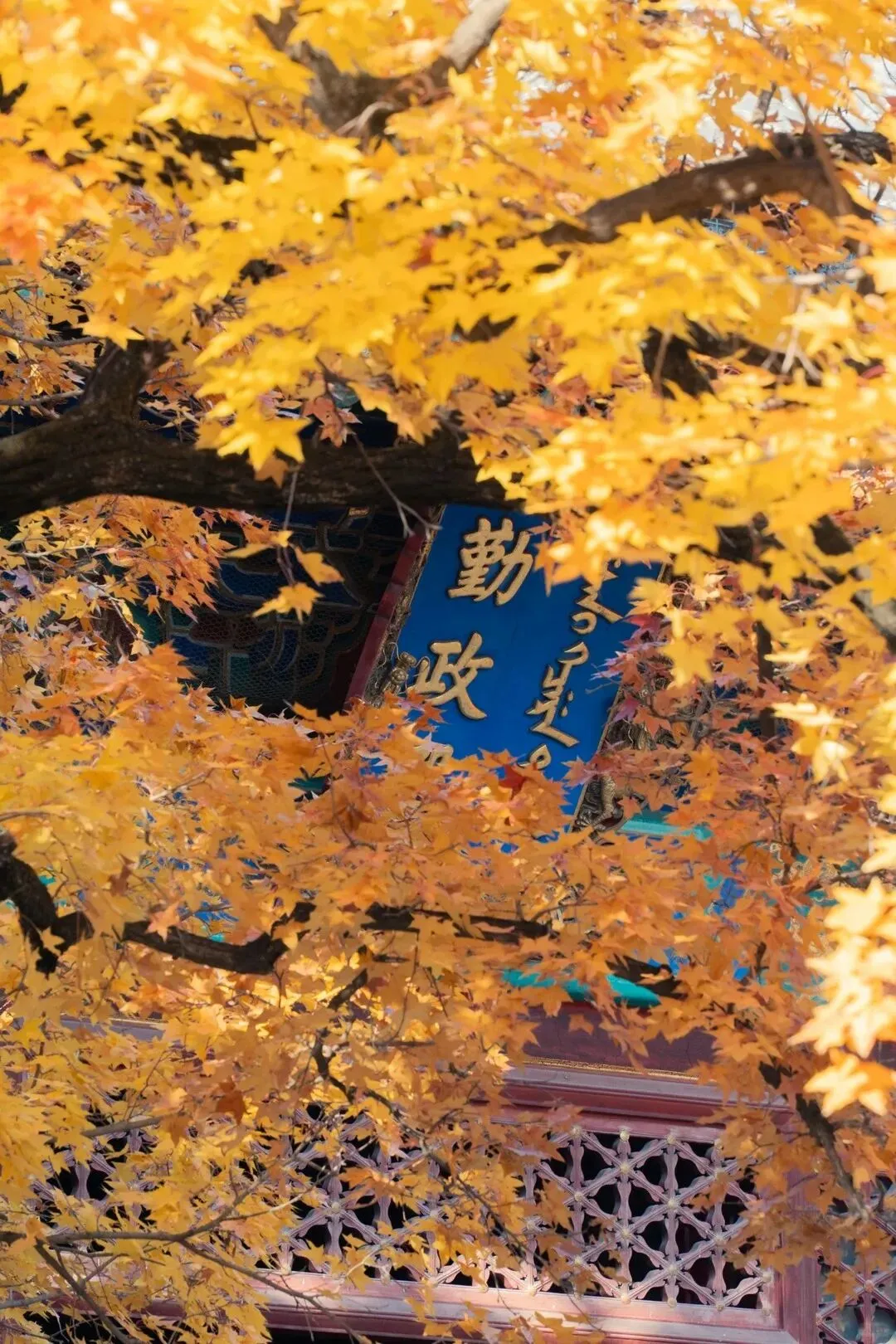 長者入境遊北京,就選擇旅遊包車,不趕不累,這條慢節奏北京旅遊路線太合適了!