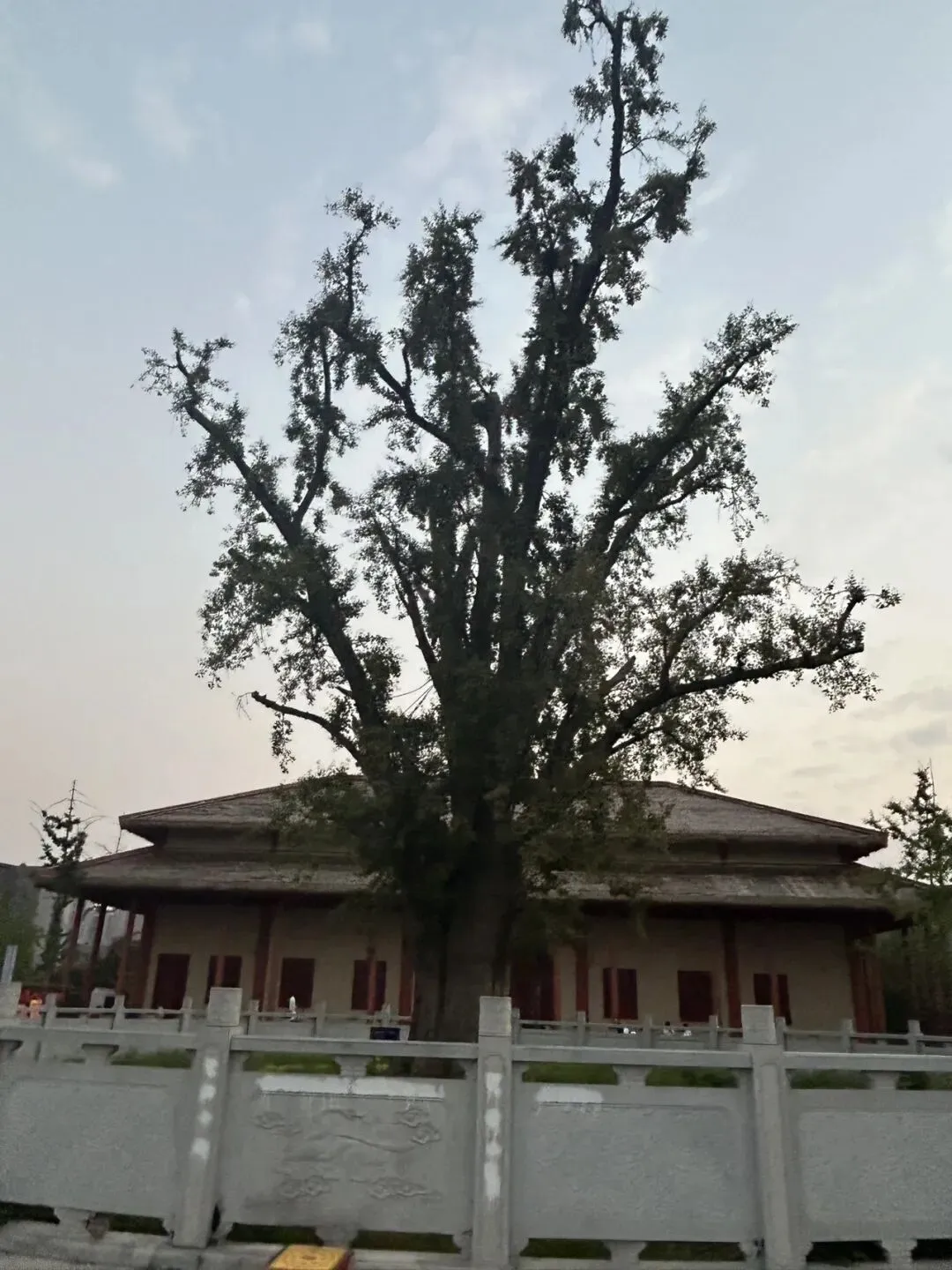 中民谈旅游之十·古沈国里换新妆