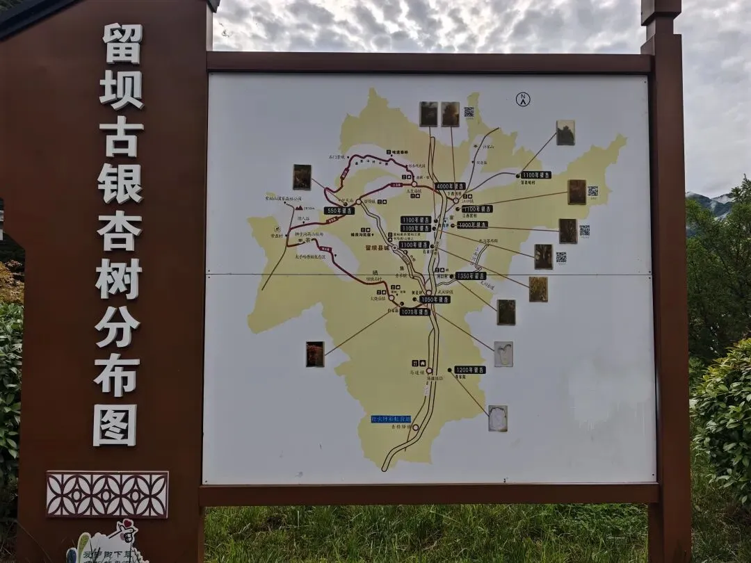 国庆节陕西自驾游Day3——最美乡村公路,美在你的心里