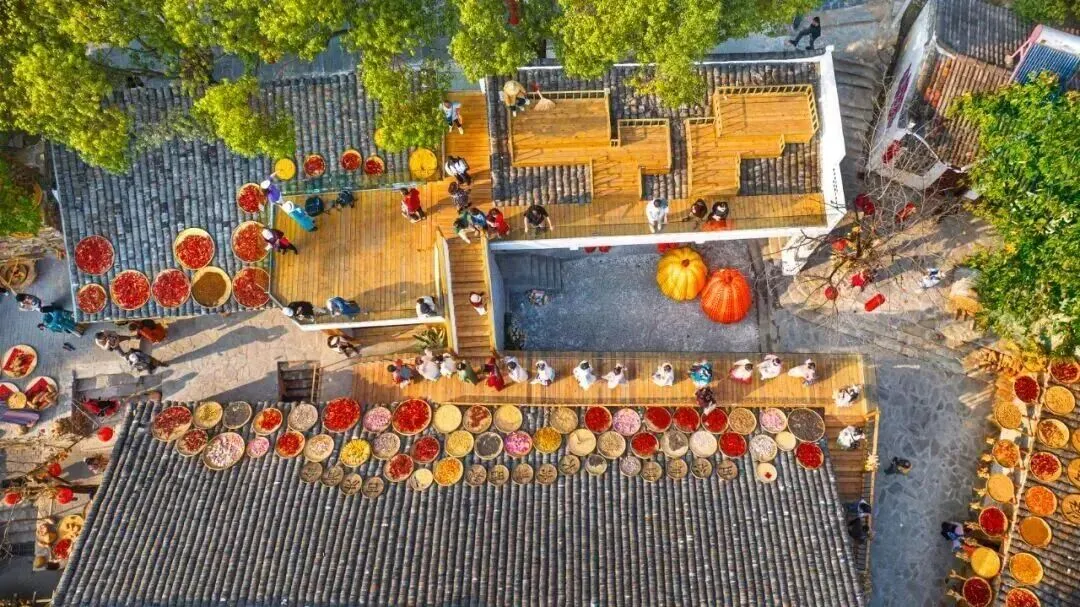 【乡村旅游】大余湾晒秋:古村的新烟火