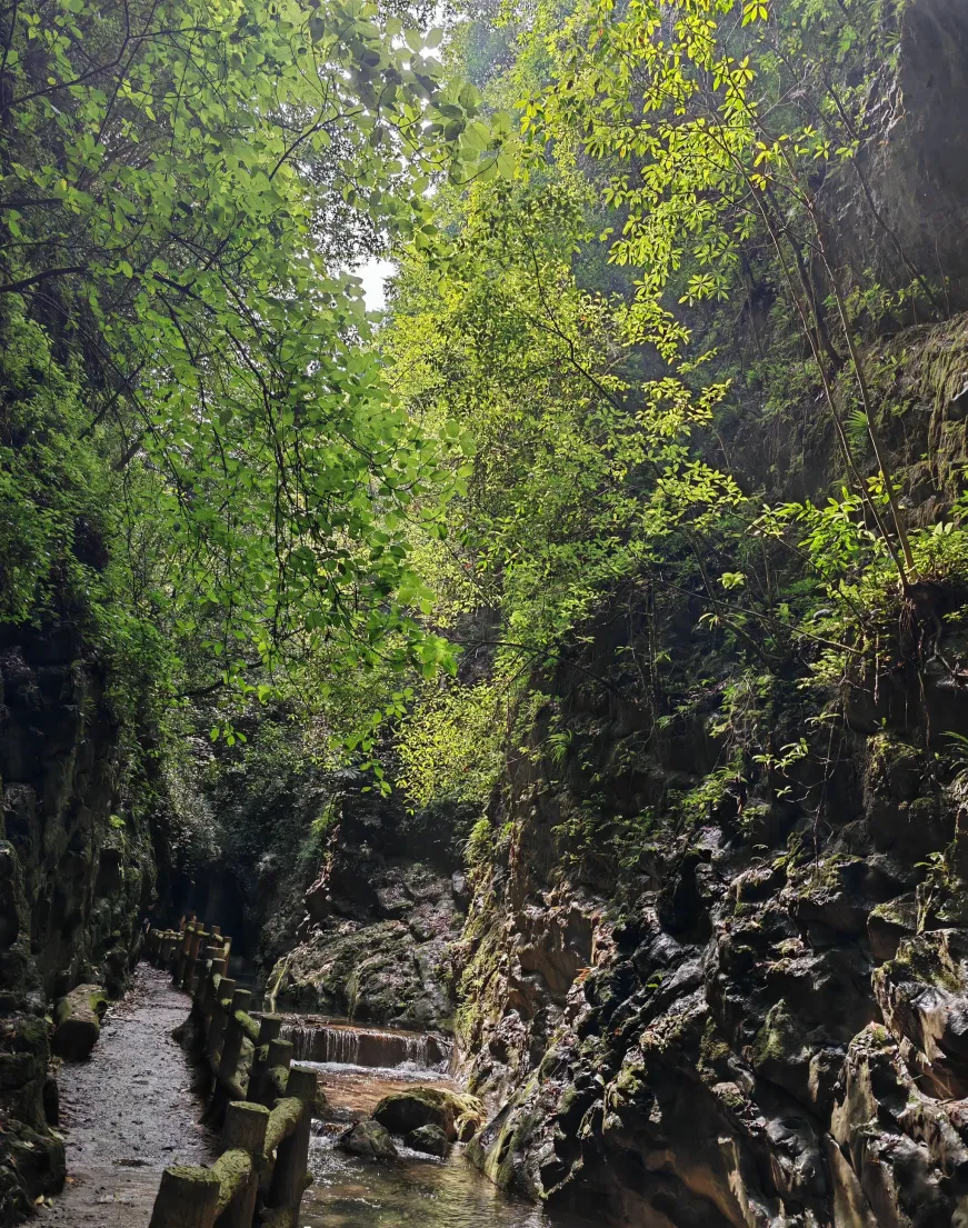 旅游出行消费需求迭代倒逼贵州地接定制旅行社服务升级 贵州天悦黔游地接探索品质化发展新路径