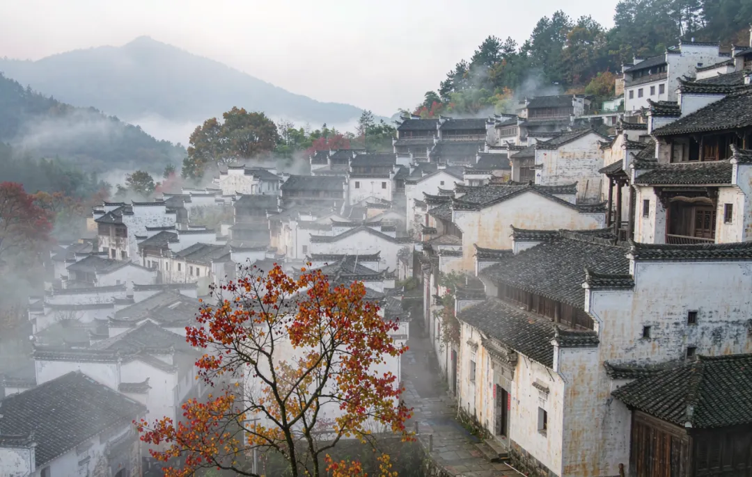 婺源塔川旅游攻略:10月底到11月中旬最好!晒秋+石城红枫巅峰期怎么玩,看这里!