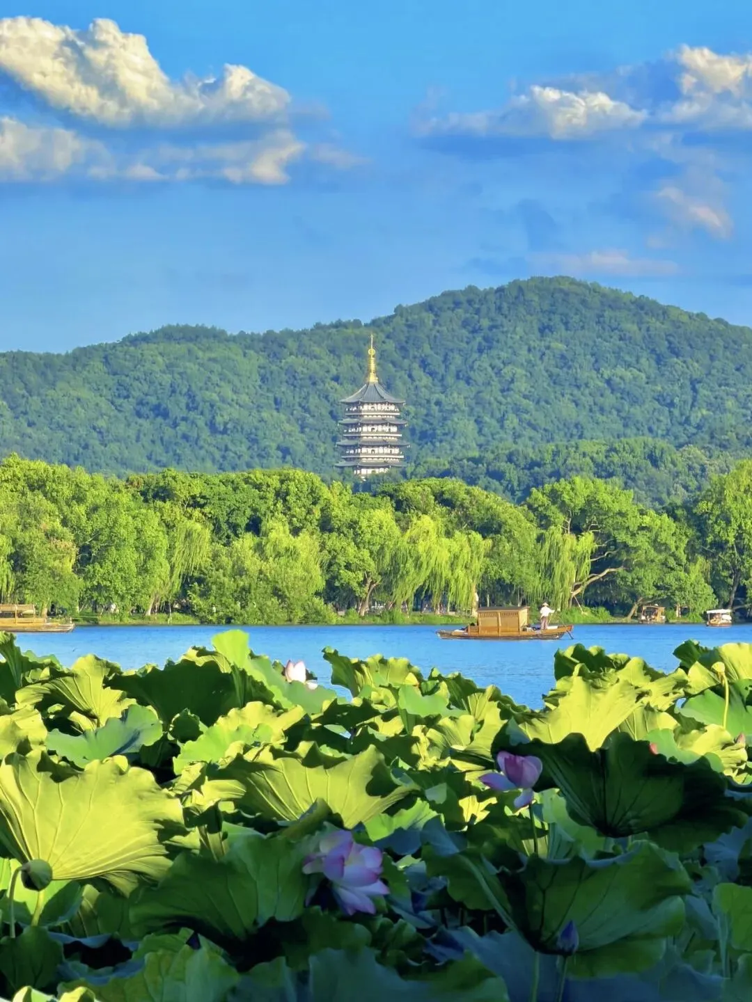 杭州地陪|杭州高净值搭子|第一次来杭州旅游,如果只有一天时间,应该怎么安排路线?