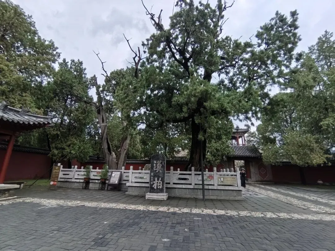 披星岱岳--泰山旅游游记攻略