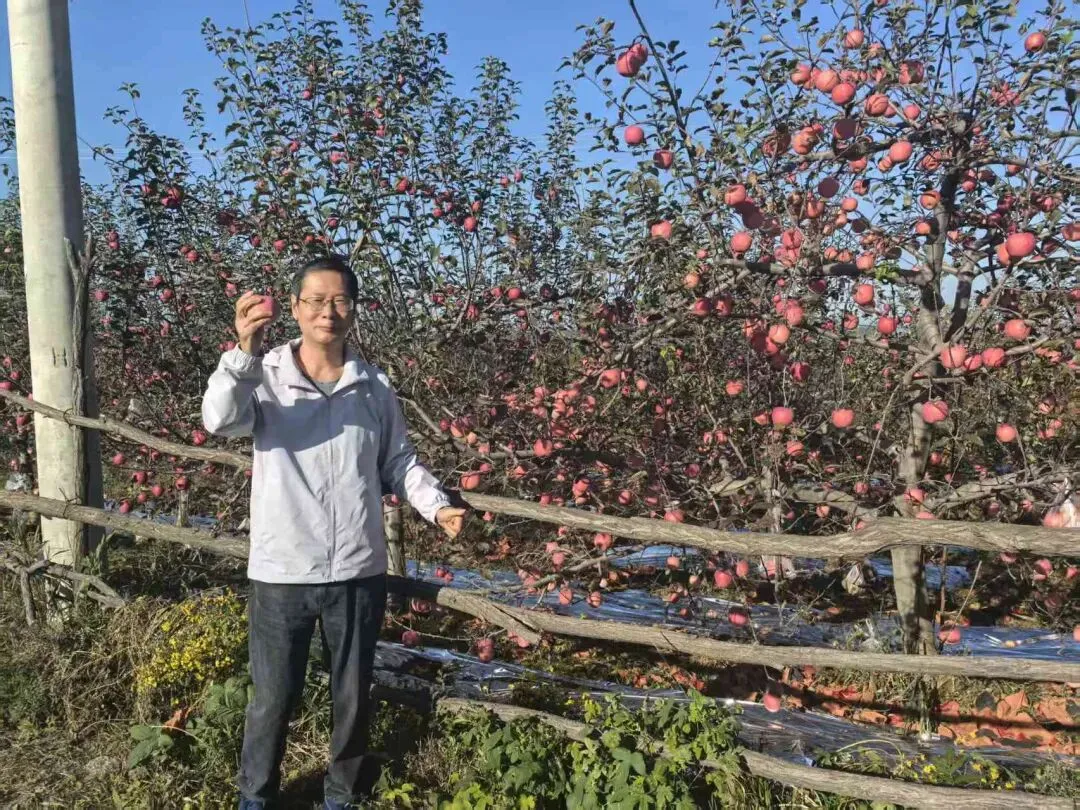 塞外风光自驾游之三——从壶口瀑布到乾坤湾,革命圣地延安