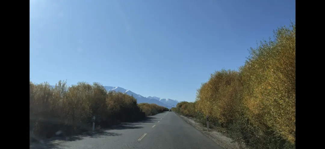 南疆自驾游记 | DAY5 盘龙古道与班迪尔蓝湖