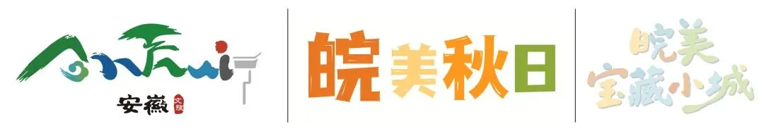 安徽省旅游行业导游乱象、强制消费等问题行政处罚典型案例(2026年第十二批)| 皖美宝藏小城临泉