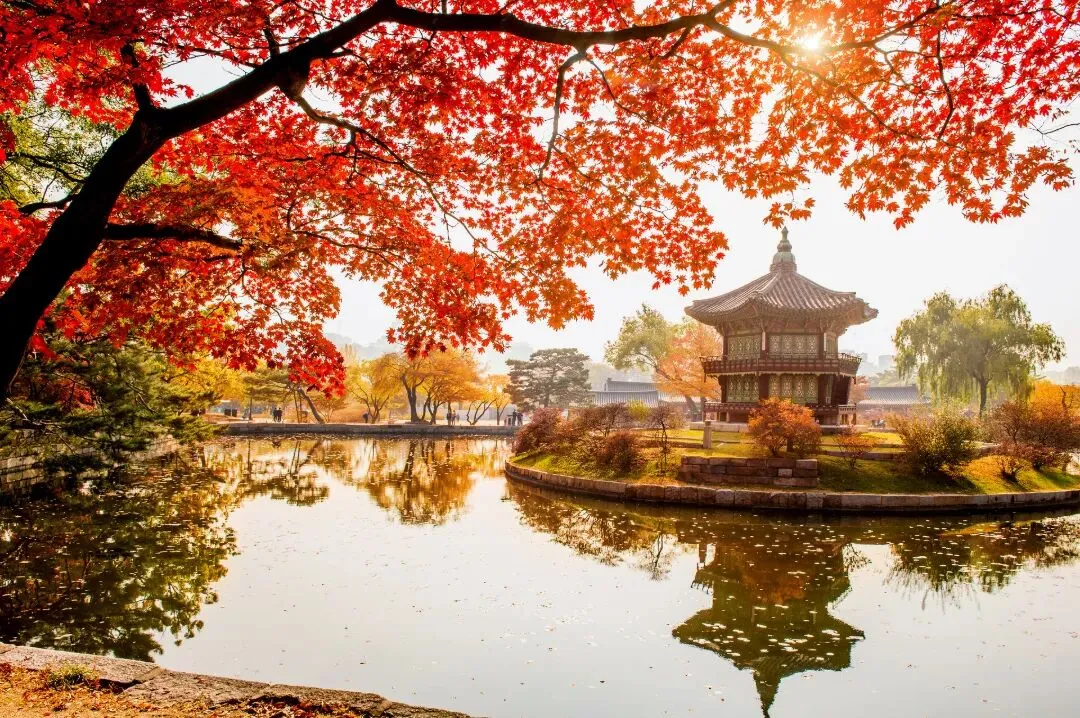 10-11月赏枫正当时,首尔秋日旅行攻略收好