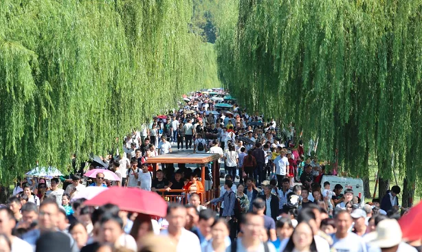 年入30万不敢花钱,为什么旅游的人却那么多?
