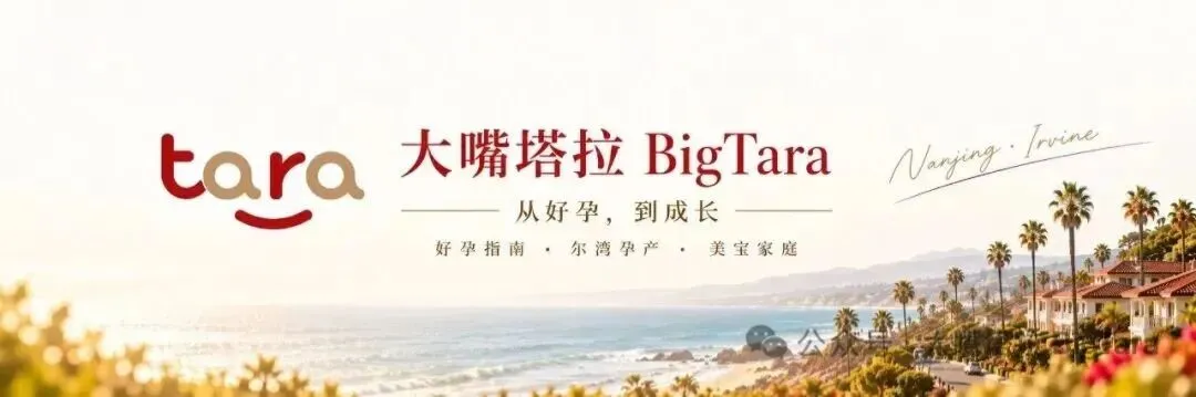 美宝护照+中国旅行证办理顺序攻略