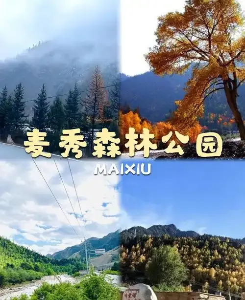 首发! 黄南超全3天麦秀林场攻略,避坑指南,旅行必备!