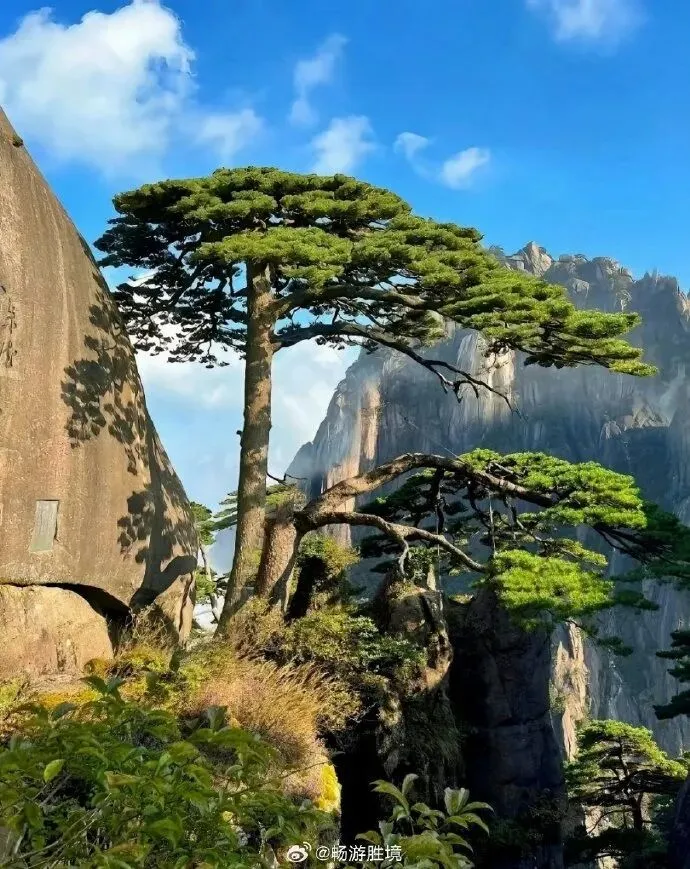 秋日旅游:天下第一奇山|黄山游玩保姆级攻略,线路美食全整理
