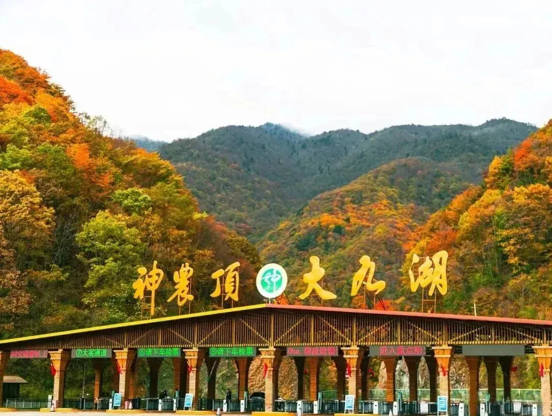10.29武汉出发五彩神农架4日自驾游:松巴无人山野-幽探11连洞-刀片峰秘境-穿行原始林海摄影美食4日游