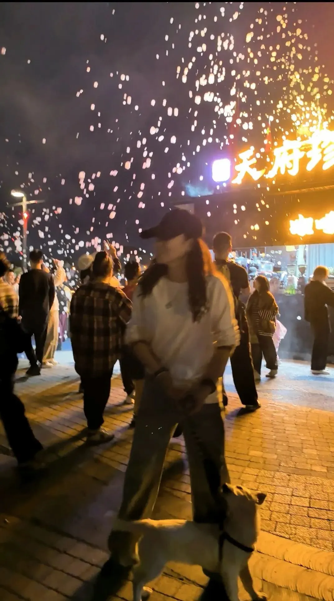 自驾游第227天~都江堰