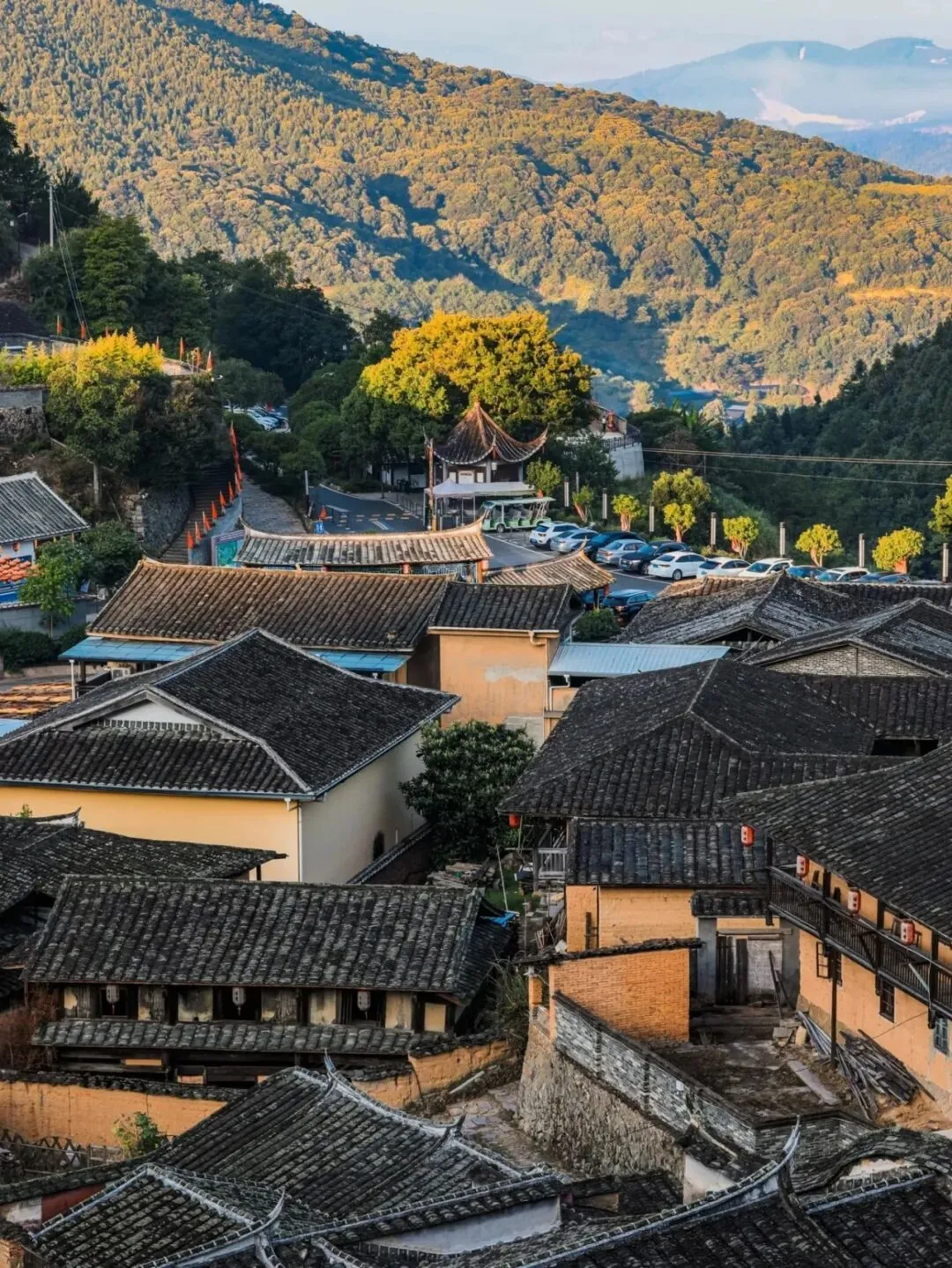 从化两天一夜游玩攻略~桂峰村赏柿+打卡香蜜山景区