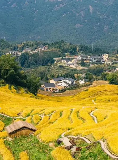首发! 丽水超全3天梯田攻略,避坑省钱,旅行必备!