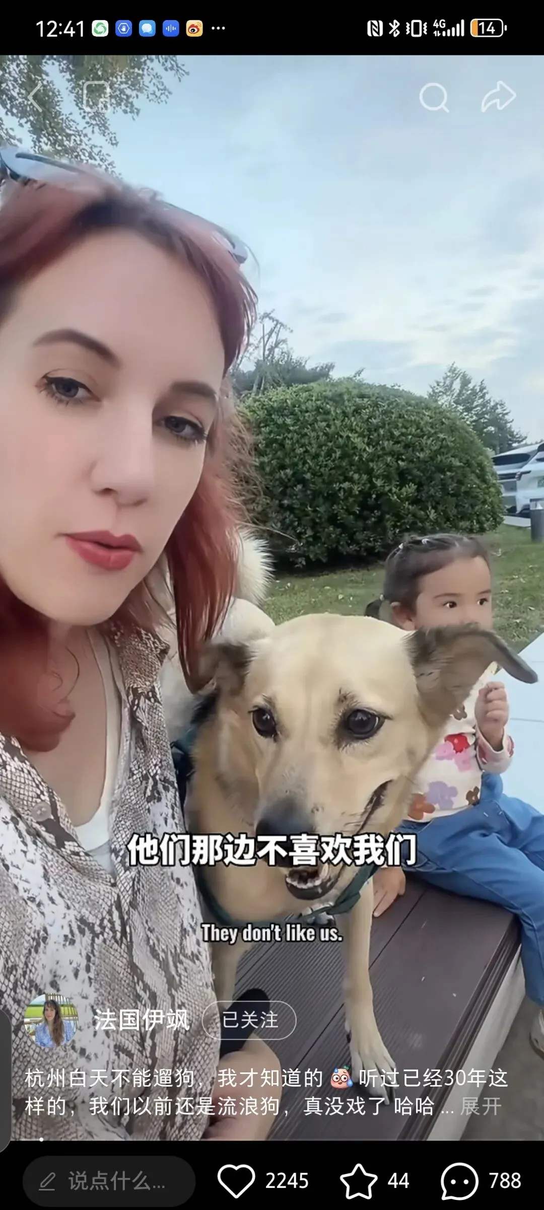 狗狗不见天日的杭州,你还愿意去旅游吗?