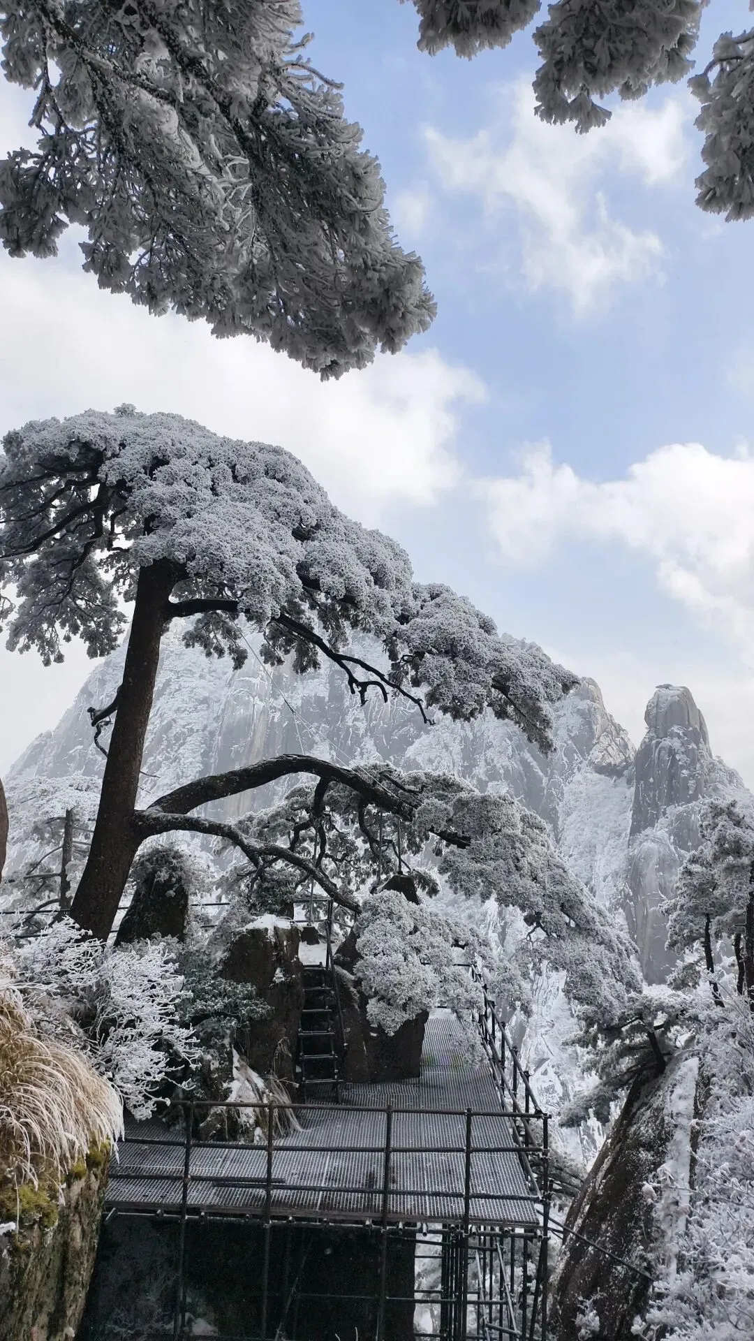 黄山在中国现代旅游史上的地位和作用