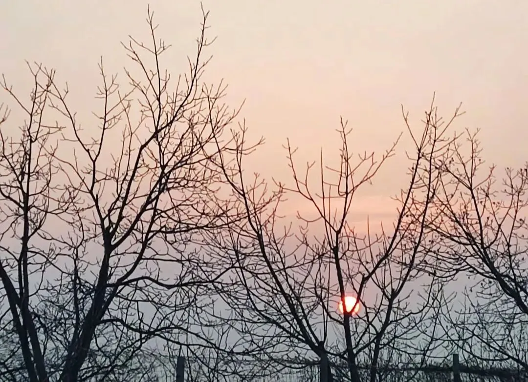 如果孤独有等级,一个人旅游算几级