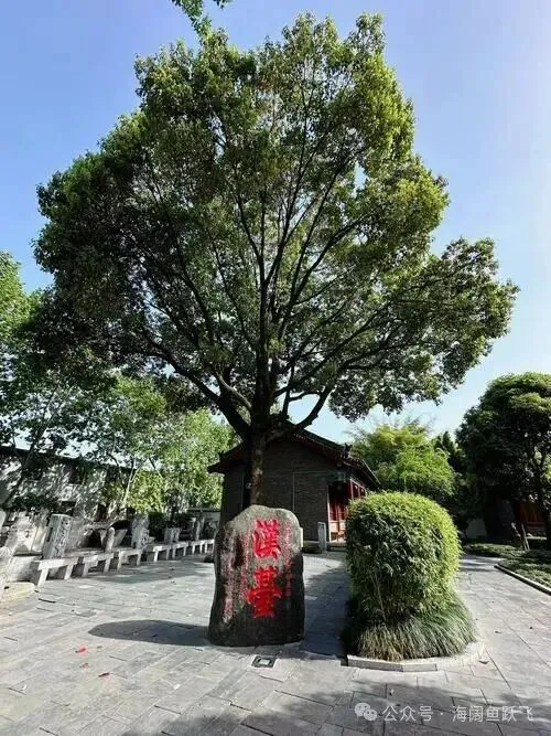 两汉三国寻古韵,秦巴山水赴汉中|汉中完整旅游攻略